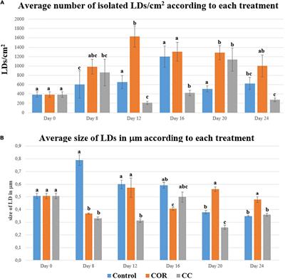 Insights into the control of taxane metabolism: Molecular, cellular, and metabolic changes induced by elicitation in Taxus baccata cell suspensions